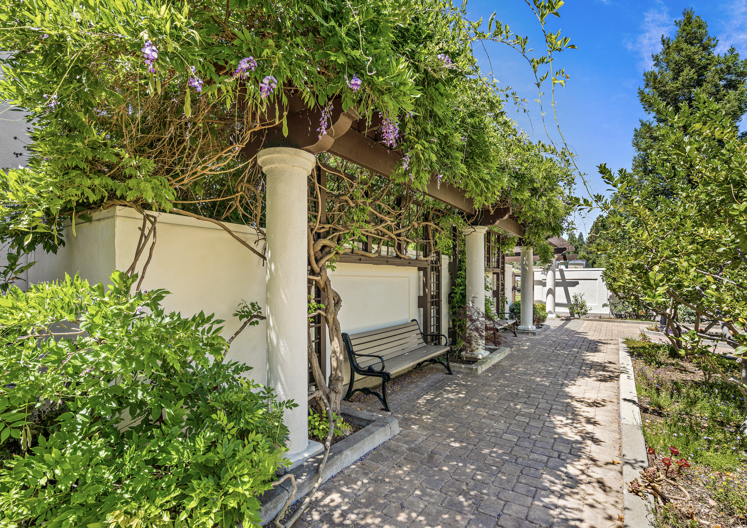 Screenshot 2026-03-12 at 12.56.09 PM